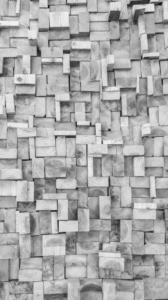 istock Black and white Old Wood slice square texture 1036041418