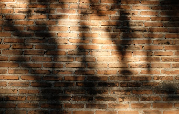 istock Background of old vintage dirty brick wall. wall with space. 1036045104