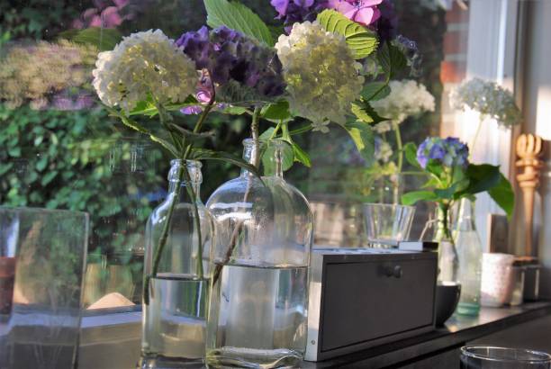 istock Flowers in vase 1036049136