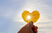 Close up shot of hand holding yellow leaf of heart shape with sun rays shining through it at light blue sky background. I love autumn concept. Copy space