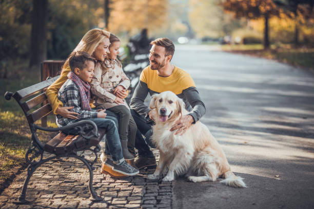 istock Young happy family communicating while enjoying with their retriever in nature. 1036053078