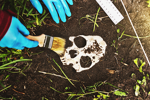 Looking down at a crime scene investigator or archaeologist brushing dirt from a partly buried skull.