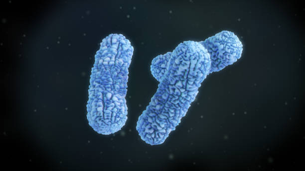 3D illustration of a burkholderia cepacia bacteria stock photo