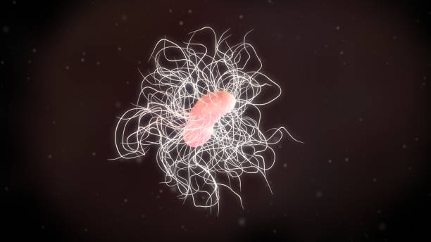 3D illustration of a clostridium difficile bacteria stock photo