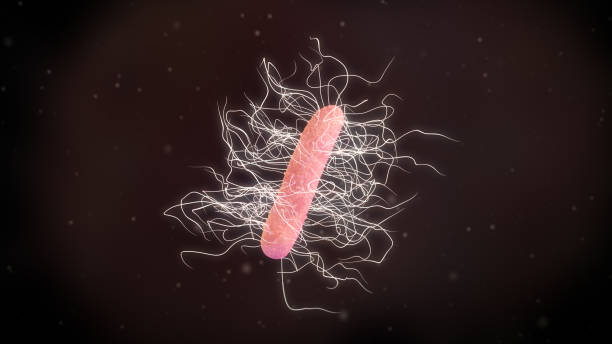 3D illustration of a clostridium difficile bacteria stock photo