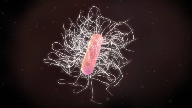 3D illustration of a clostridium difficile bacteria stock photo