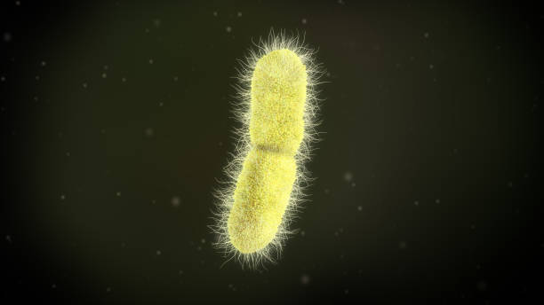 3D illustration of a klebsiella pneumoniae bacteria stock photo