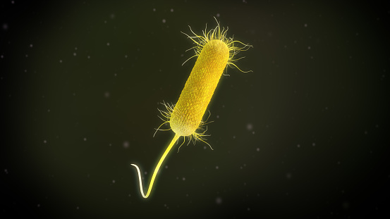 computer generated 3D illustration of a pseudomonas aeruginosa bacteria