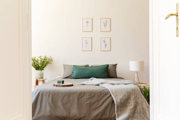 a peek through an open door into a natural sunny bedroom interior with gray and green sheets and cushions on a double bed. nature drawings on the vanilla wall. real photo. - lead sheet imagens e fotografias de stock