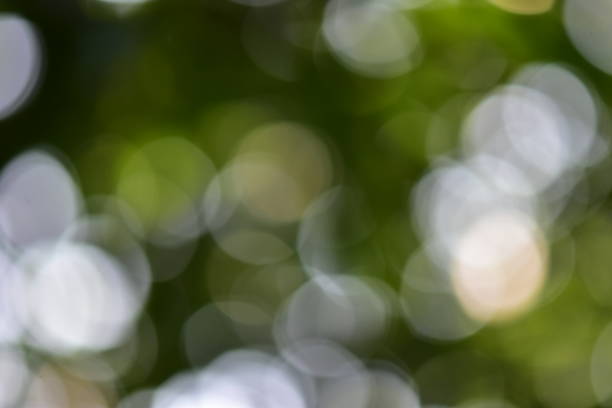 istock To shoot under a tree shade. Blurry images appear green and white reflecting a beautiful sphere. 1036072282