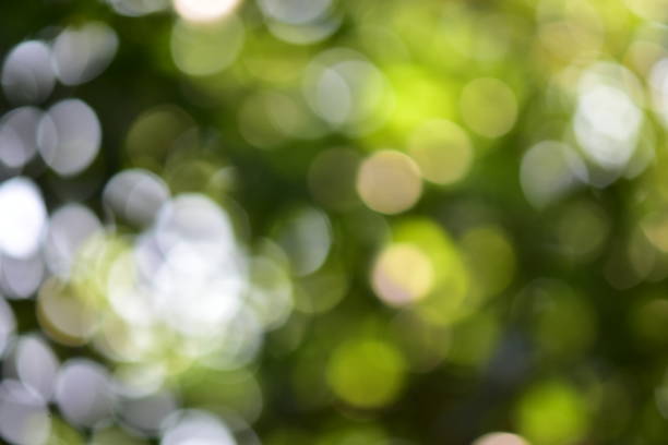 istock To shoot under a tree shade. Blurry images appear green and white reflecting a beautiful sphere. 1036072302