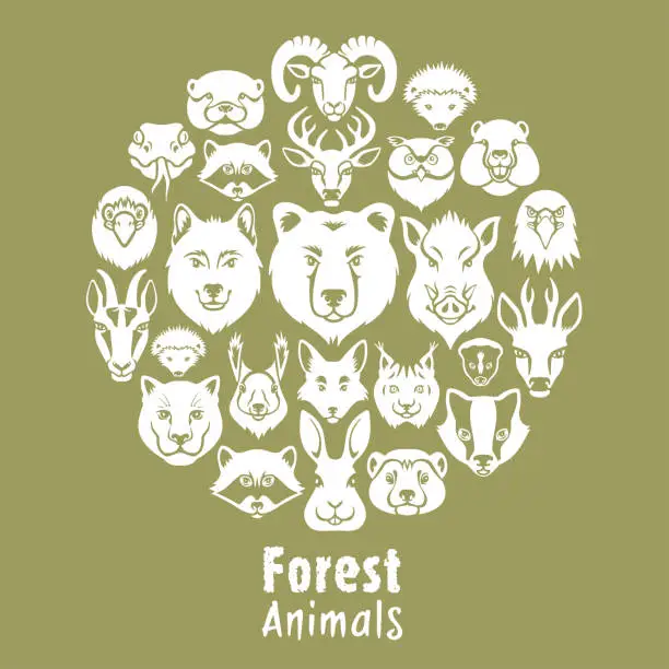 Vector illustration of Woodland Animals Collage
