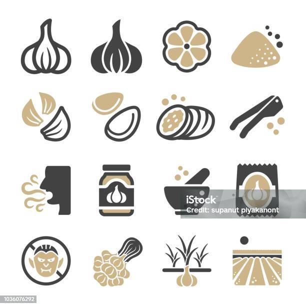 Garlic Icon Stock Illustration - Download Image Now - Garlic, Icon Symbol, Ingredient