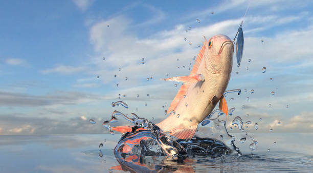 istock Sun shined to this beauty red snapper trophy fish, cathed with jigging 3d render 1036079742