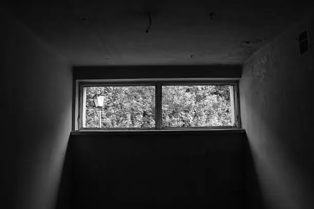 Monochrome light and shadows picture. Room of the abandoned building inside. View to forest - leaves wall and street lamp on the left.