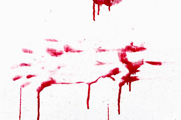 istock Bloody hand-prints isolated on white background. 1036086094