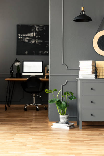 istock Plant next to grey cabinet in workspace interior with mockup of computer desktop. Real photo 1036092144