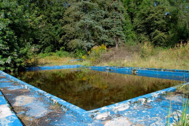 istock Colorful Abandoned Paddling Pool 1036092602