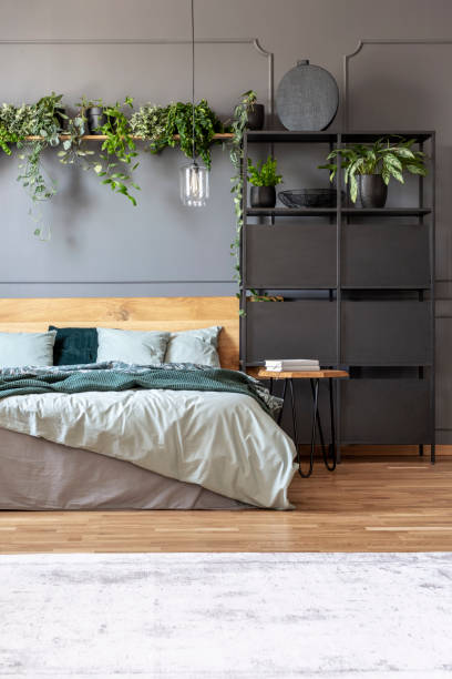 istock Botanical bedroom interior with a double bed, black cabinet and shelf with plants 1036097626