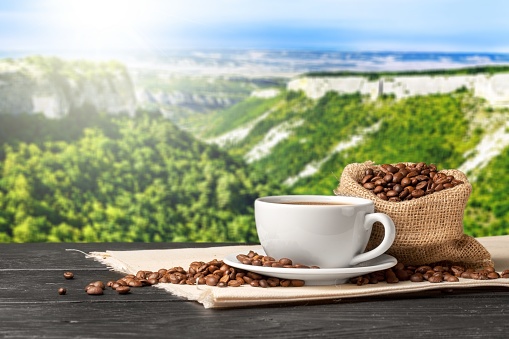 Coffee cup plantation mountain field beans green