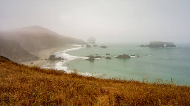 istock Sonoma coast on a typical foggy day 1036102622