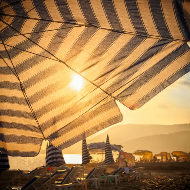 istock Umbrella and sun in front at sunset 1036103312