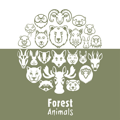 Wild forest animals collage