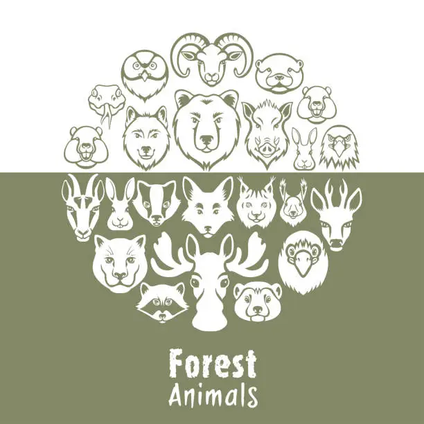 Vector illustration of Wild forest animals collage
