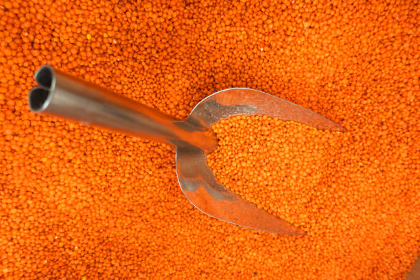 pile of red lentil isolated on white background - lentil full frame macro close up imagens e fotografias de stock