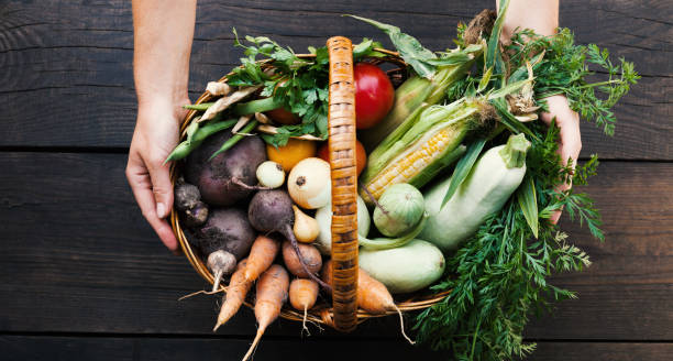 istock Cooking vegetable soup, organic vegetarian course. Detox ingredients 1036120146