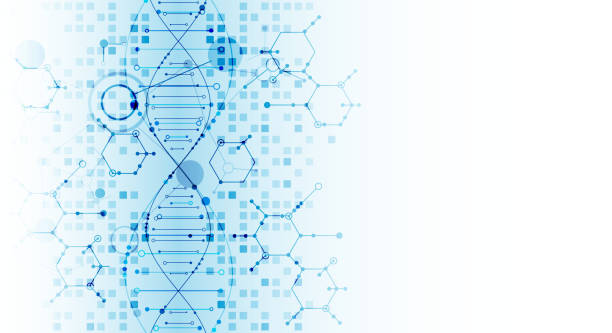 Science template, DNA molecules background. Science template, DNA molecules background. Vector illustration. human genome code stock illustrations