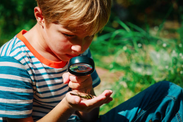 istock kids learning - child exploring dragonfly with magnifying glass 1036125492