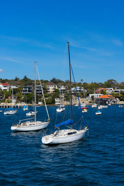 istock Yachts Moored In Watsons Bay, Sydney 1036134542