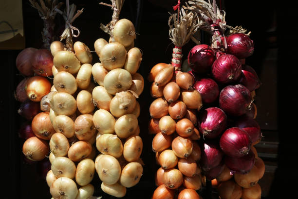 istock Different types of onions, central Italy 1036162838