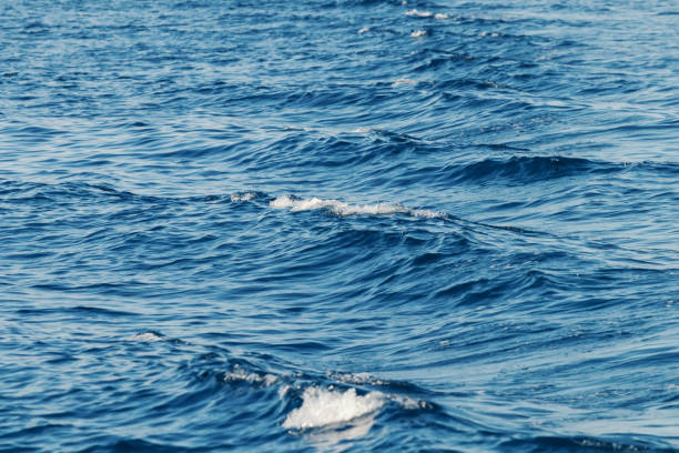 istock Waves behind a boat, Patterns of waves in water. 1036166112