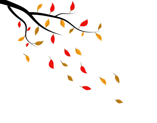 オータム リーフのベクトル - falling leaf tree autumn点のイラスト素材／クリップアート素材／マンガ素材／アイコン素材