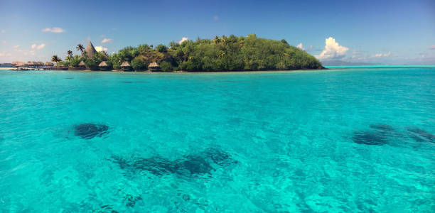 istock Bora Bora lagoon and motu 1036169240