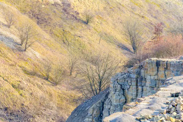 overgrown hillslope and rock formation in sunny ambiance