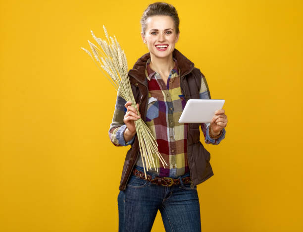 felice giovane donna contadina con spighette di grano utilizzando tablet pc - ipad farmer agronomy pc foto e immagini stock