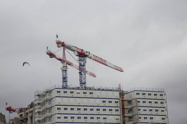 istock Ballet of cranes 1036180592