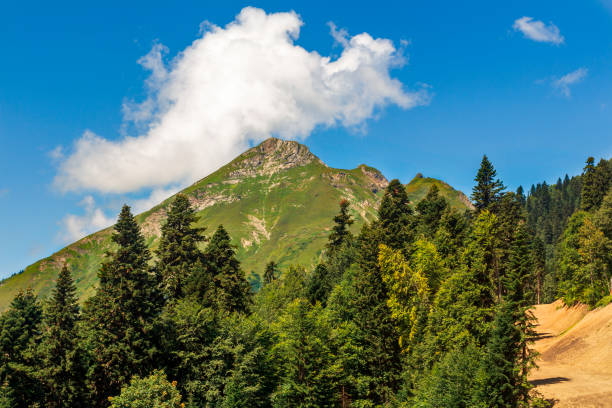 Rosa Peak, Krasnaya Polyana, Caucasus Mountains Russia
