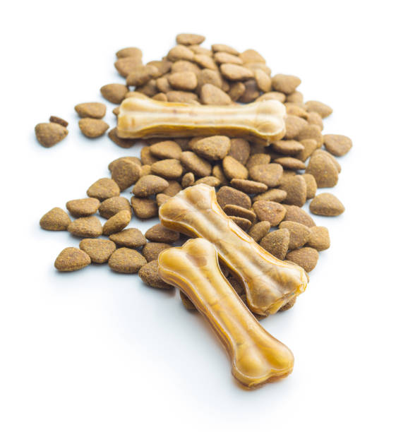 istock Dog chew bone and dry kibble dog food 1036182206