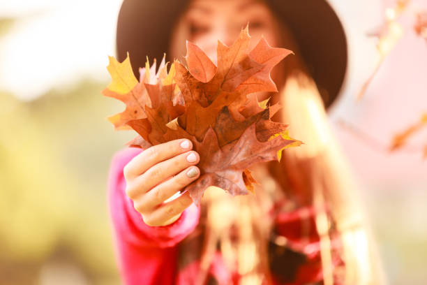 istock Female with maple leaves in hand. Autumnal park scenery 1036192890