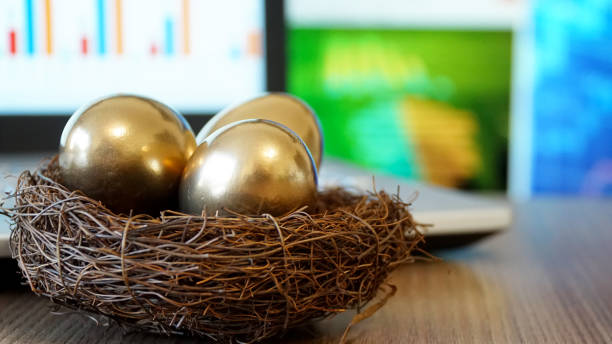 golden eggs. making money and successful investment. - wealth eggs animal egg easter egg imagens e fotografias de stock