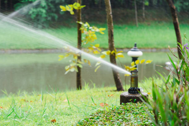 istock Automatic lawn sprinkler watering grass in park 1036194170