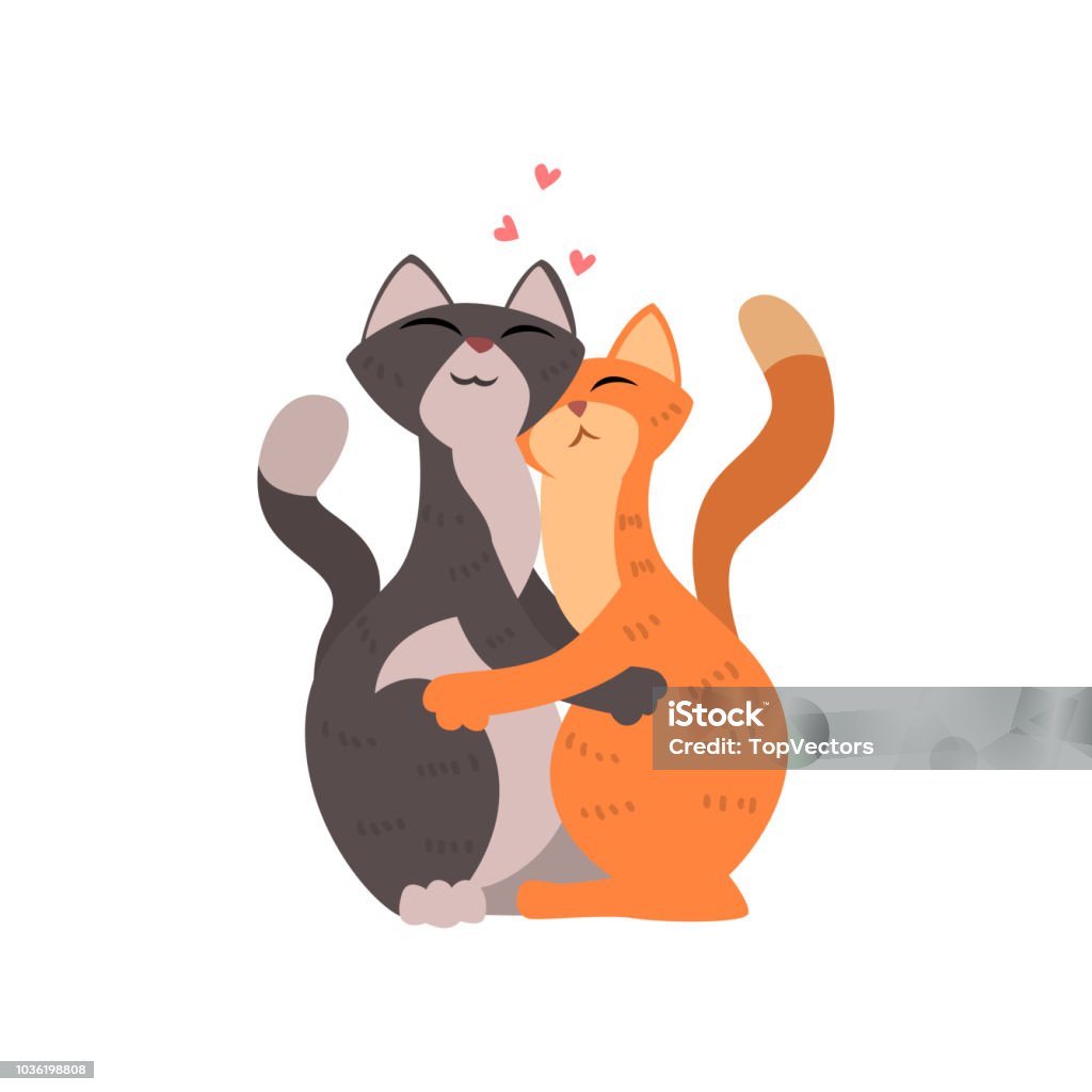 Cặp Đôi Mèo Dễ Thương Trong Tình Yêu Ôm Nhau Hai Con Aniimals Hạnh ...