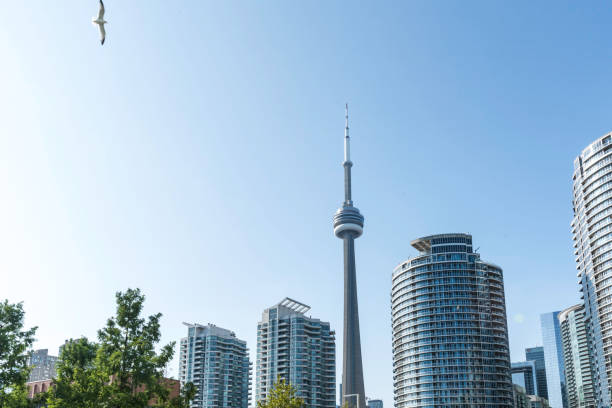 istock Cityscape of Toronto 1036208588