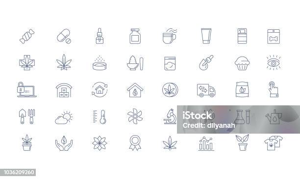 Cannabis Products Growing Vector Icon Set Stock Illustration - Download Image Now - Icon Symbol, Cannabidiol, Hemp