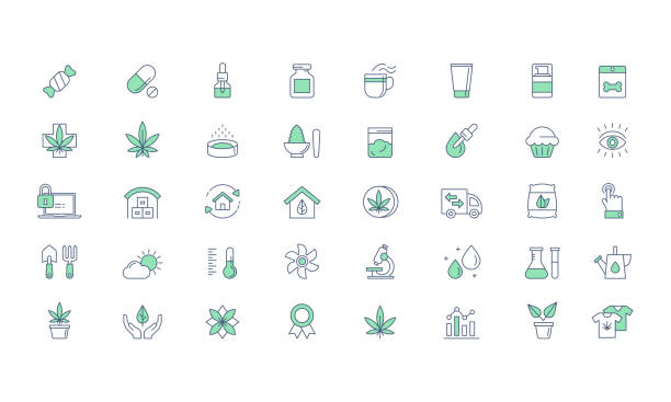 ilustraciones, imágenes clip art, dibujos animados e iconos de stock de productos de cannabis, conjunto de iconos de vector de crecimiento - hemp