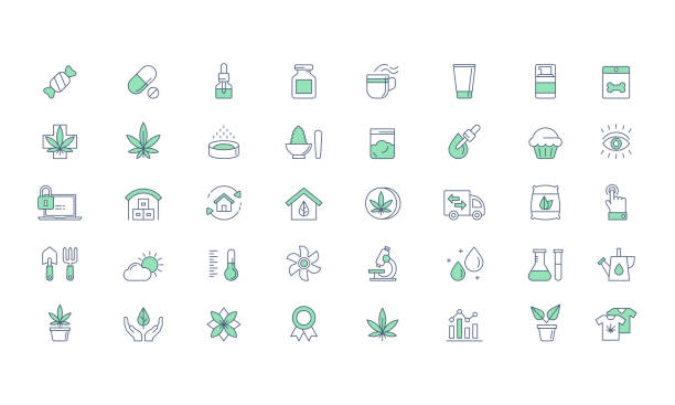 Cannabis Products, Growing Vector icon set Cannabis CBD Medical products and Growing, planting line vector icon set cannabis narcotic stock illustrations